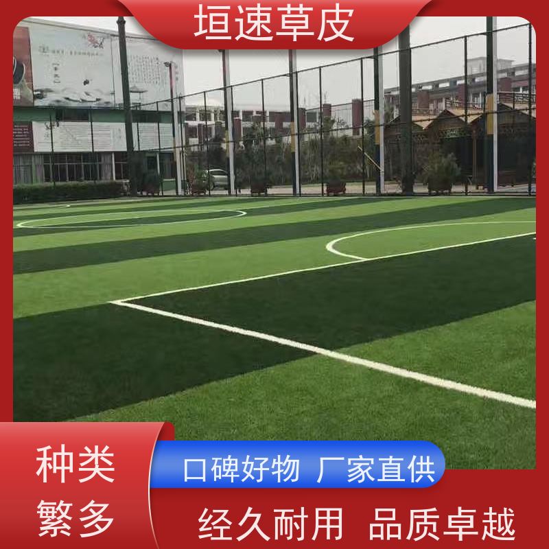 垣速 嘉兴门球场建造 足球场地改造舒适度高 景观塑料草坪造价成本