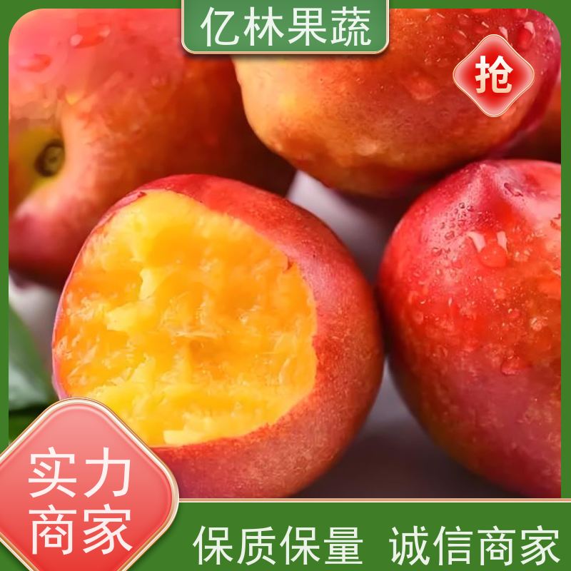 安徽油桃 中油29 新鲜水果桃子批发 口感甜脆 清香可口 基地直发
