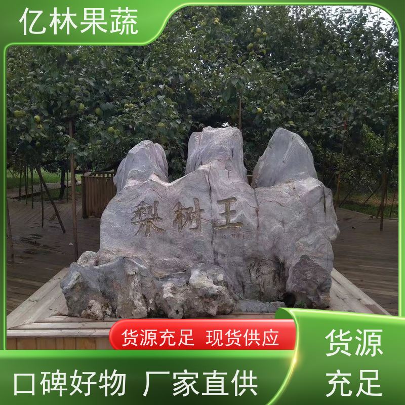 亿林苗木 桃树苗 现挖现发新鲜 粗两公分 果实饱满味道好