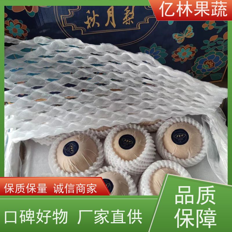基地培育 根系饱满成活率高 南北方种植 香酥梨果树 黄金梨树苗