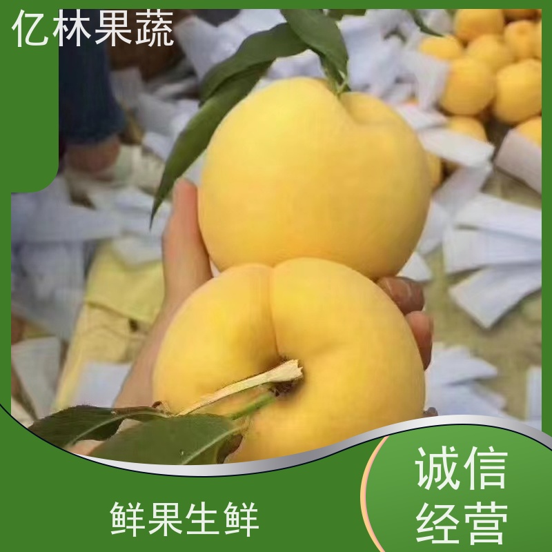 亿林苗木 油桃苗 桃树果苗批发 自家园林 基地直发