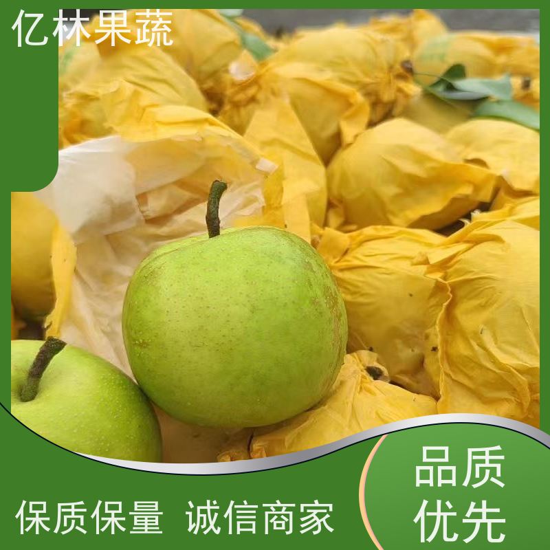亿林苗木 果实饱满味道好 晚熟品种梨 口感脆甜 金二十世纪树苗