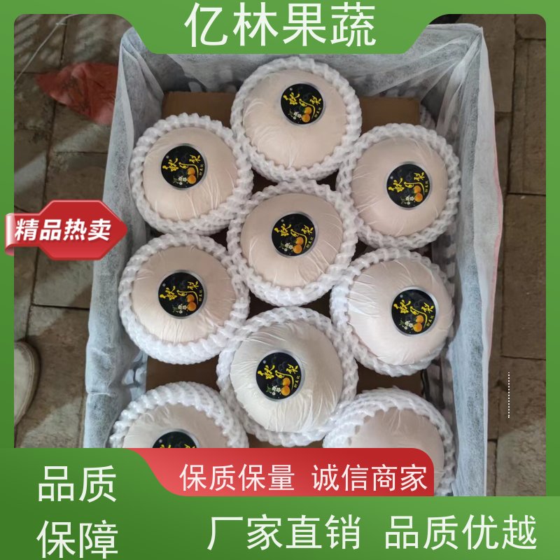 亿林苗木 油桃苗 三公分现挖现发 品种齐全 成活率高