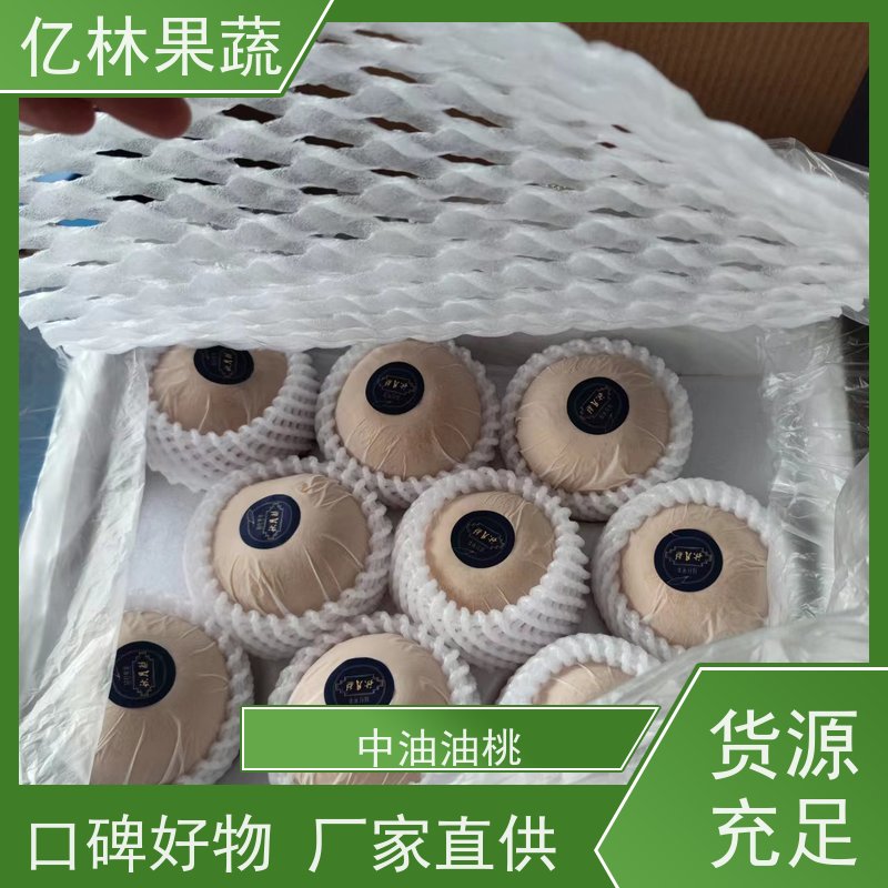 基地培育 园林嫁接桃苗 三公分现挖现发 品种齐全 根系饱满成活率高