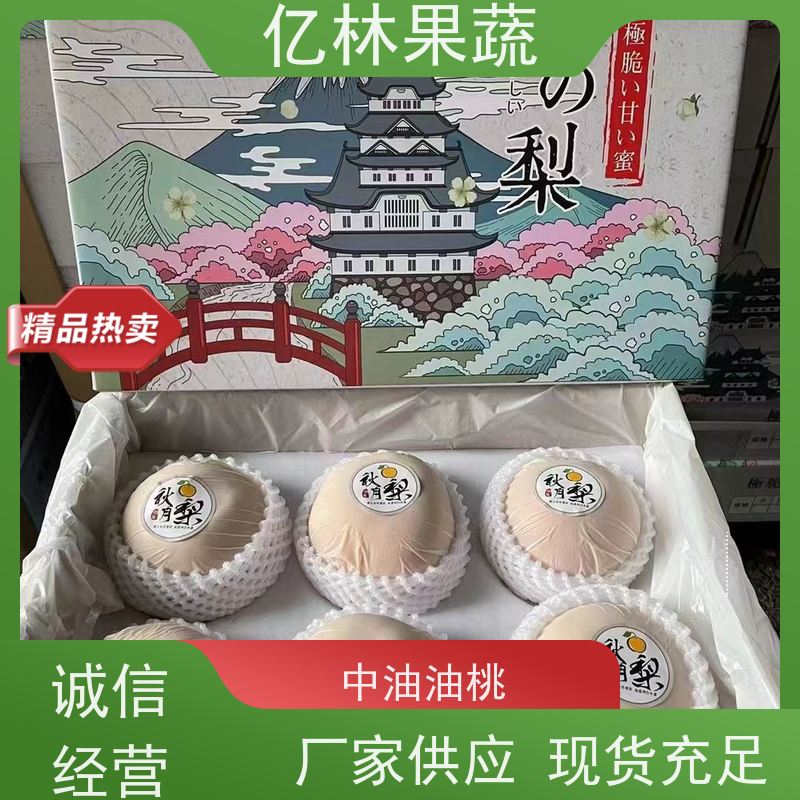 亿林苗木 基地培育 嫁接技术指导 抗寒能力强 早酥梨树苗