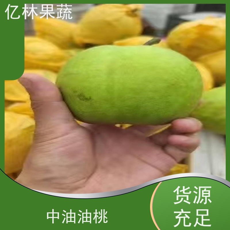 亿林苗木 红香酥梨树苗 成活率高 黄尊蜜梨 口感香甜