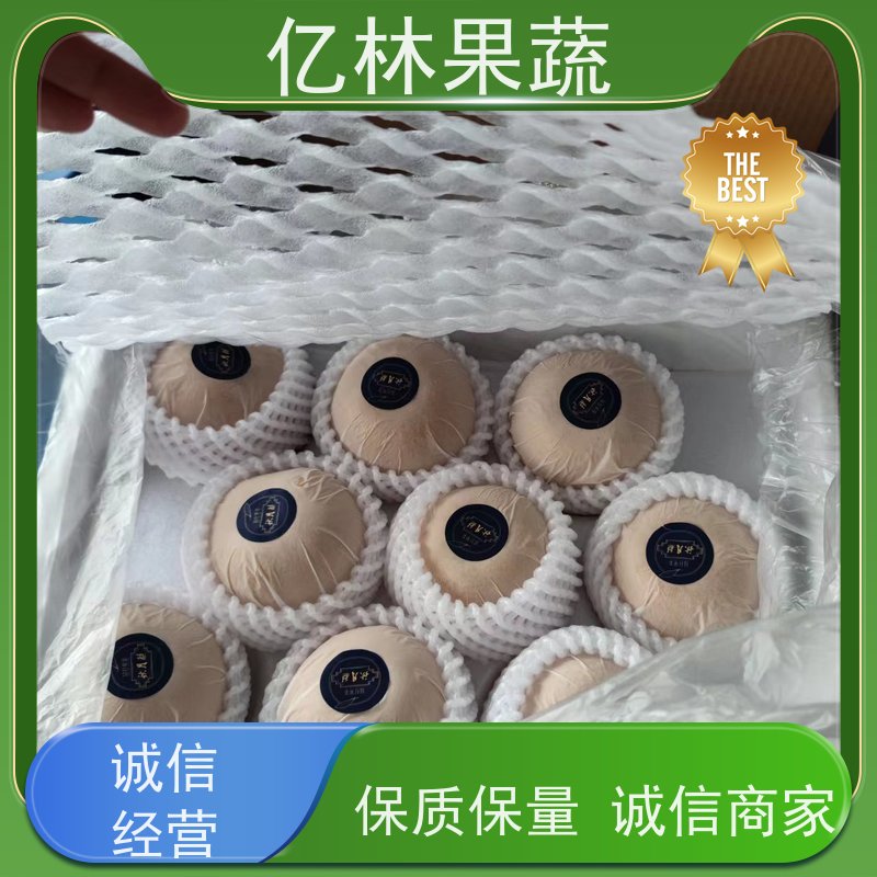 基地供应 红巴梨树苗 果实饱满味道好 南北方种植 香酥梨果树