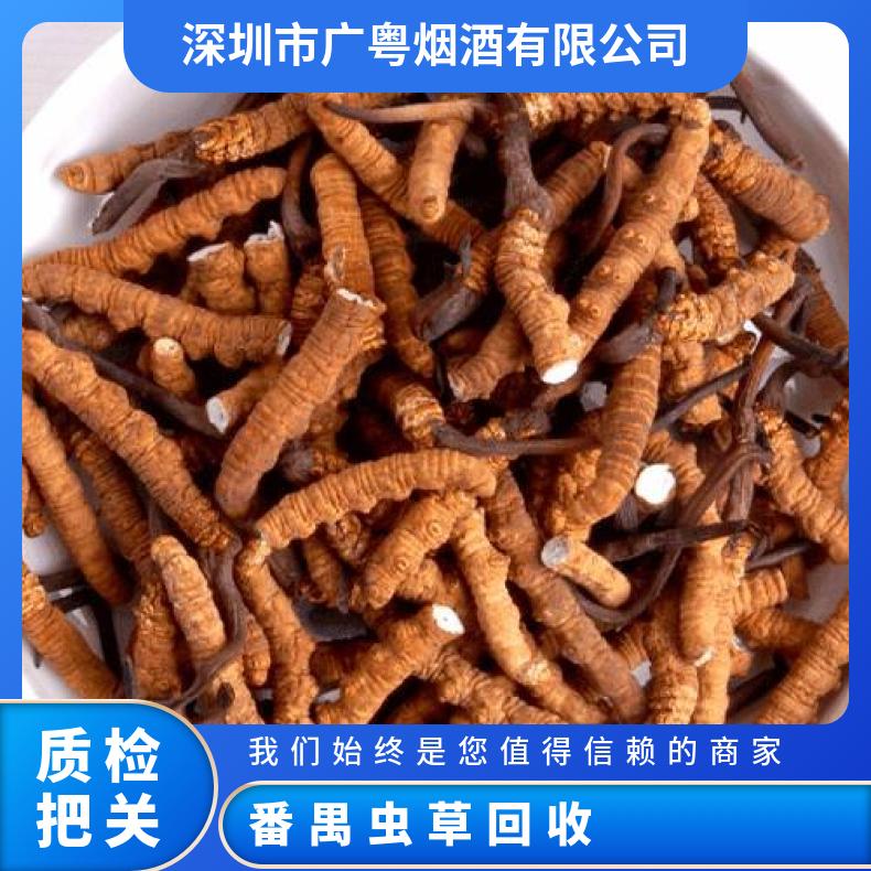 番禺冬虫夏草上门回收商家实体店地址 附近可24小时登门收购