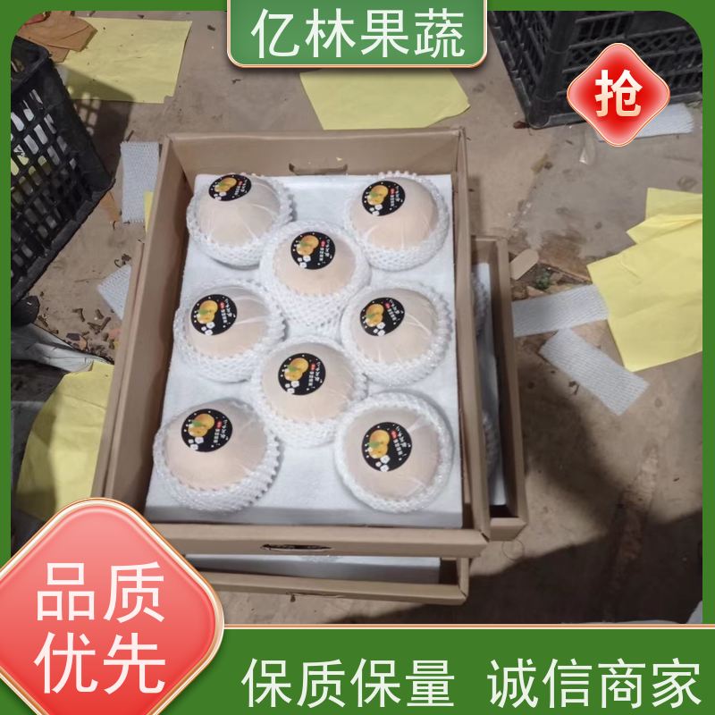 亿林苗木 园林嫁接桃苗 三公分现挖现发 品种齐全 果实饱满味道好