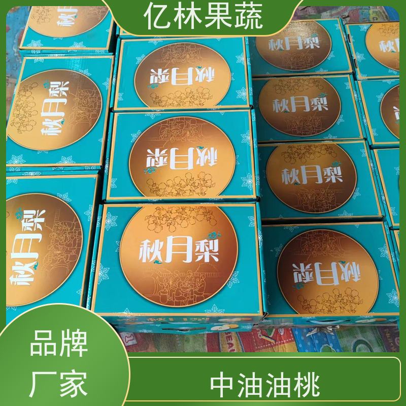 亿林苗木 水晶梨树苗 果实饱满味道好 嫁接技术指导 抗寒能力强