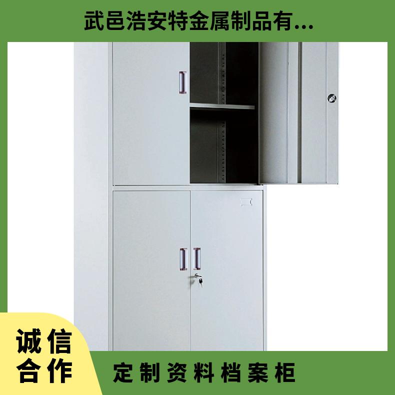 浩安特双节文件柜 塑粉 对开储物柜 简约 白色 五金件 定制资料档案