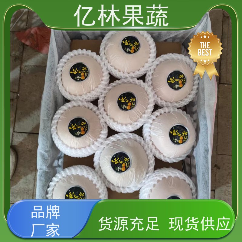 基地供应 果实饱满味道好 嫁接技术指导 抗寒能力强 中华玉梨树苗
