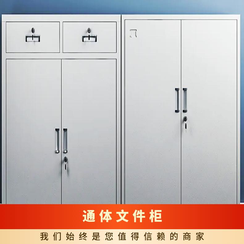 对开门更衣柜 厂家定制 按需 办公 内外贸 304不锈钢 多层 通体文件柜