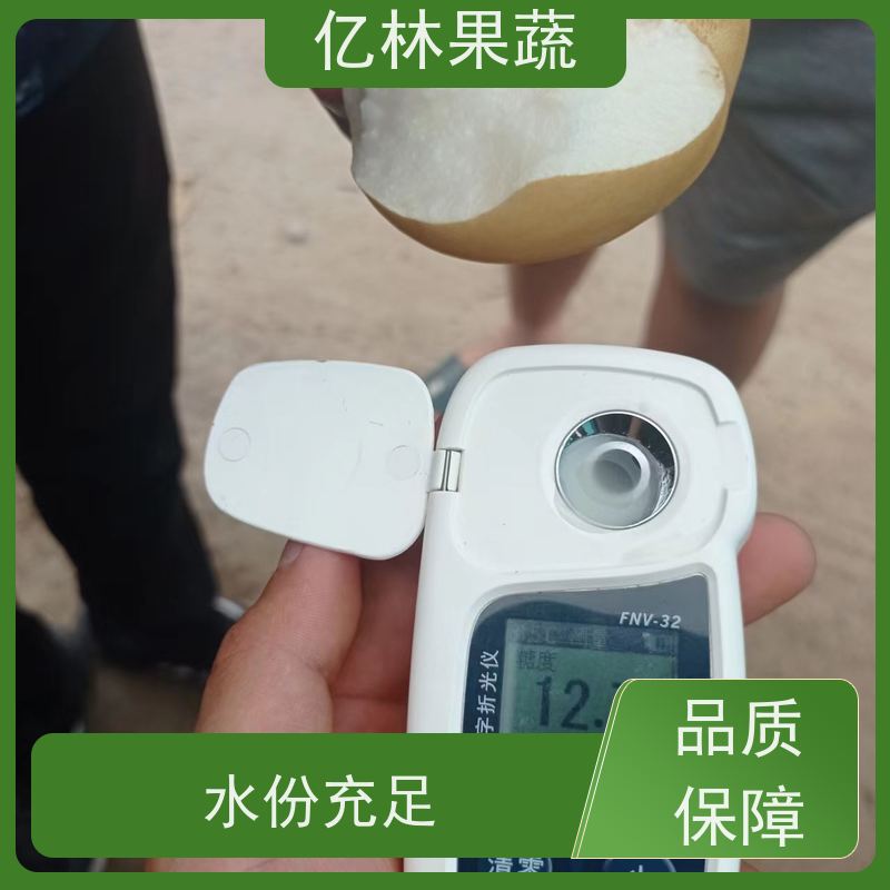 亿林苗木 嫁接梨树苗 成活率高 三公分现挖现发 品种齐全