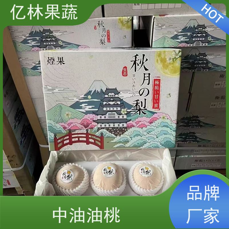 基地供应 红巴梨树苗 根系饱满成活率高 南北方种植 香酥梨果树