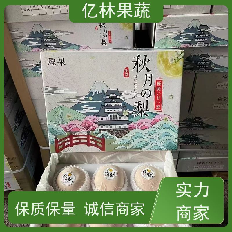 基地培育 中秋红梨树苗 根系饱满成活率高 新品种梨苗 香甜可口