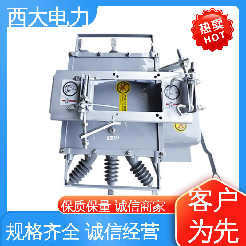 户外柱上高压真空断路器 体积小 重量轻 ZW20-12F 西大电力