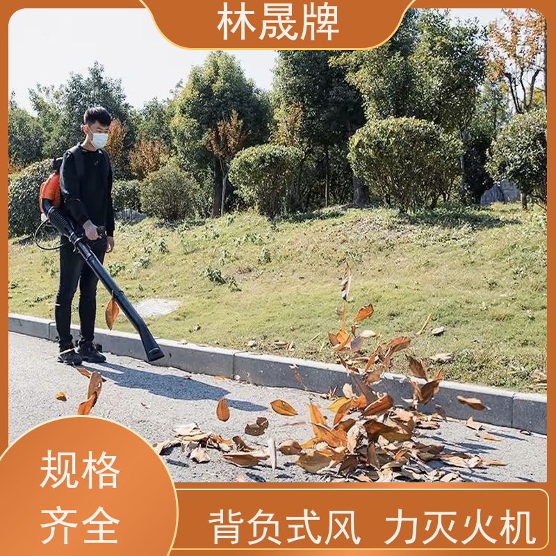 林晟牌 森林扑火消防吹雪机 灭火机 背负式使用 接受定制