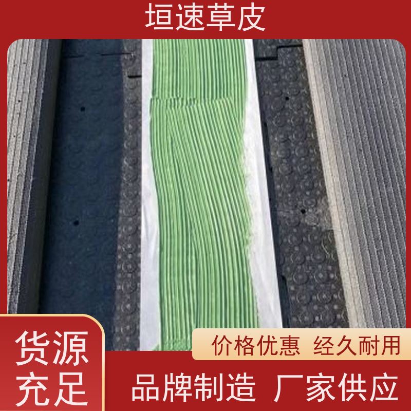 垣速 网球场草坪安装坚固耐用 足球场地草皮专卖厂家 杭州足球场建筑