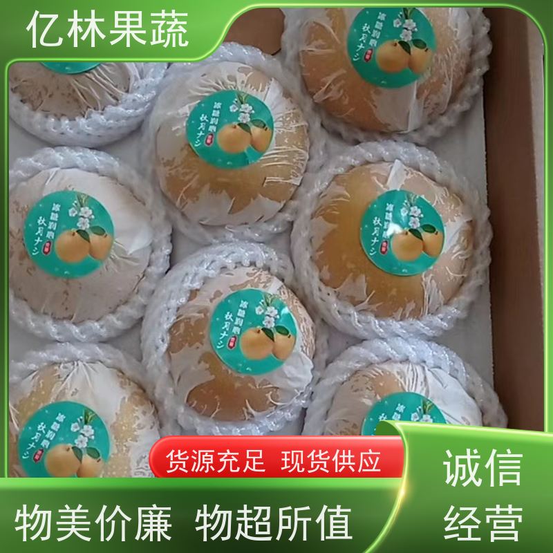 亿林苗木 水晶梨树苗 成活率高 嫁接技术指导 抗寒能力强