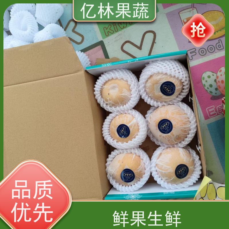 亿林苗木 果实饱满味道好 三公分现挖现发 品种齐全 早酥红梨苗