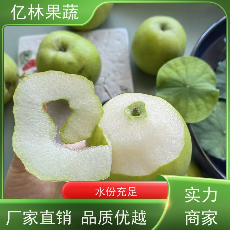 亿林苗木 秋彤桃 园林绿化果树苗 抗寒能力强 果实饱满味道好