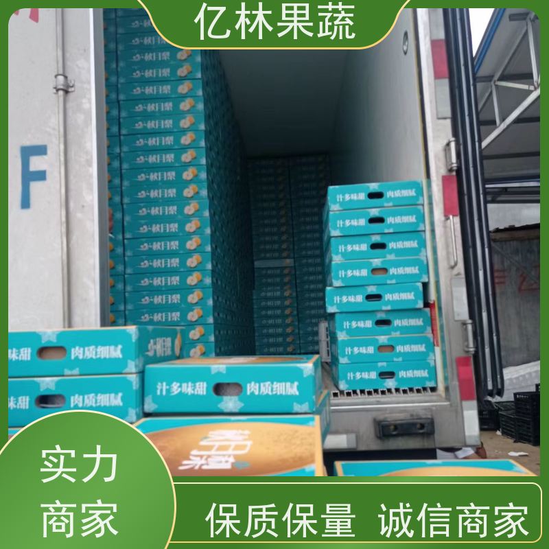 亿林苗木 中梨系列梨树苗 果实饱满味道好 盆栽地栽庭院红香酥梨苗