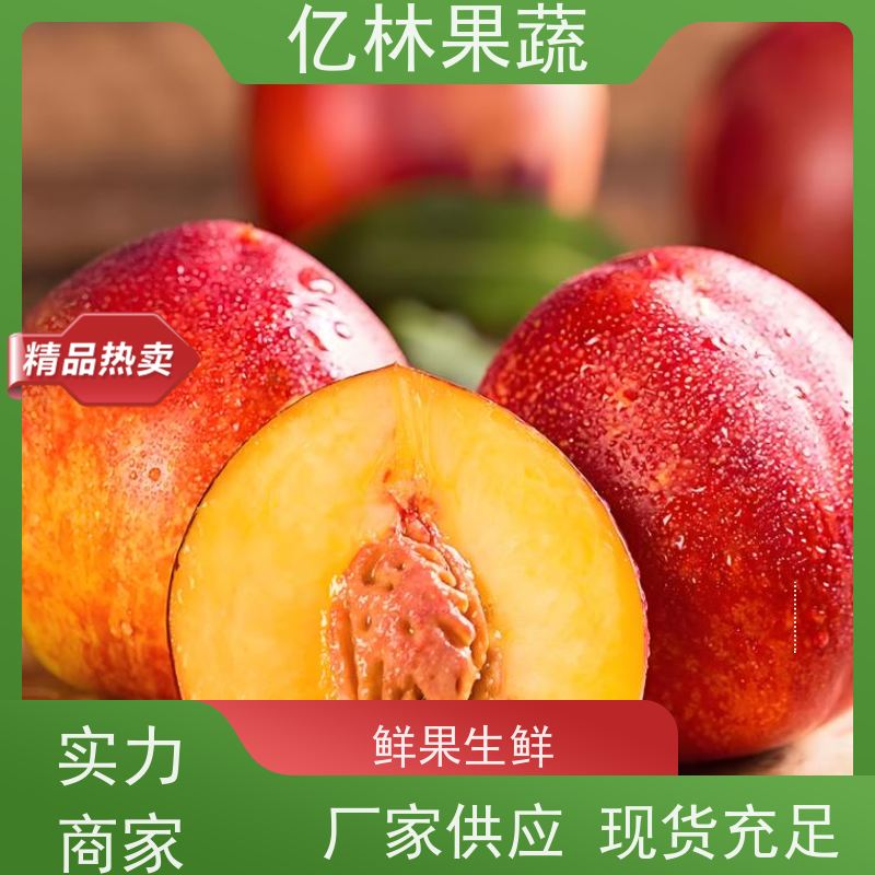 基地供应 红早酥梨树苗 果实饱满味道好 三公分现挖现发 品种齐全