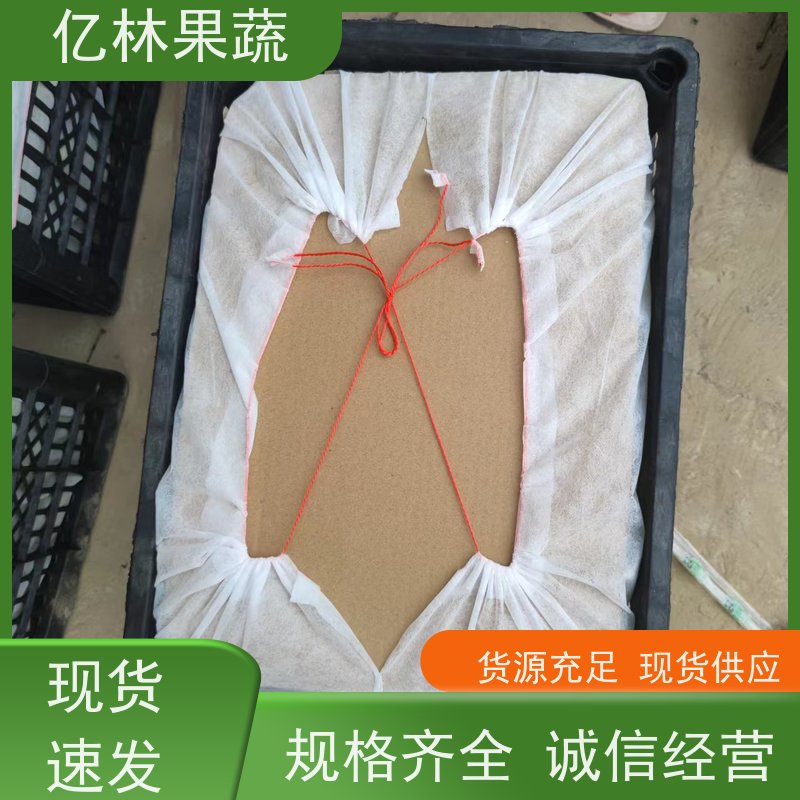 基地供应 根系饱满成活率高 三公分现挖现发 品种齐全 红星梨树苗