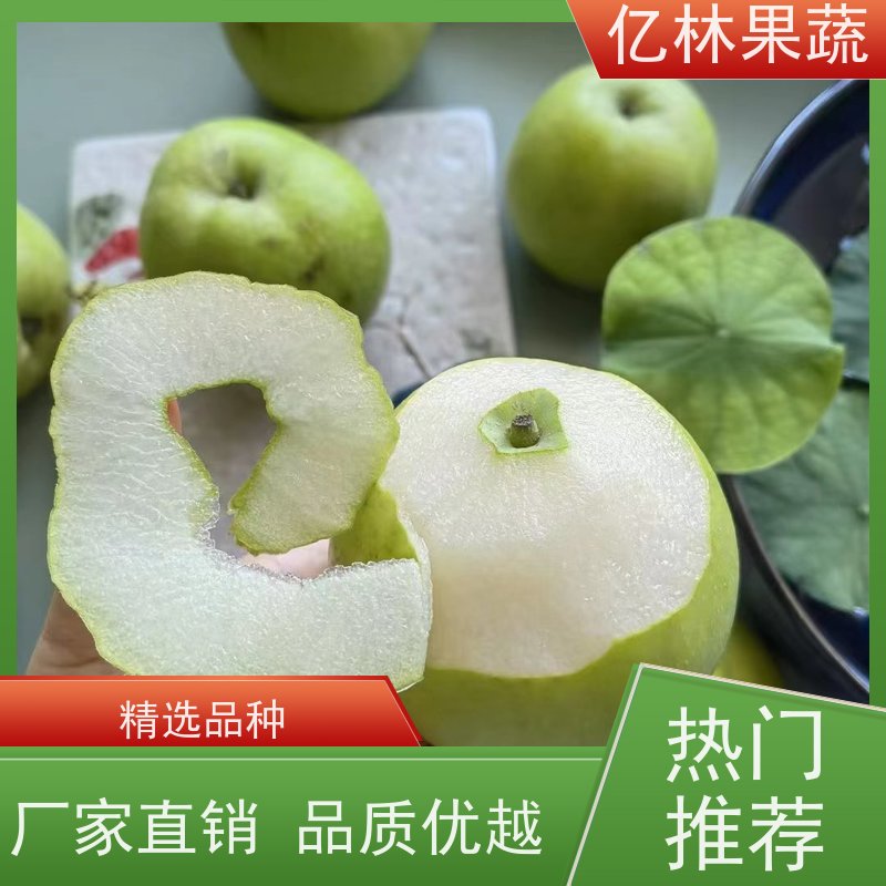 亿林苗木 水晶梨树苗 成活率高 南北方种植 香酥梨果树