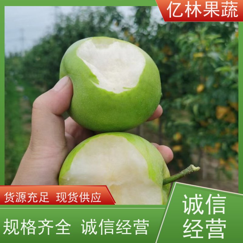 亿林苗木 红星梨树苗 成活率高 黄尊蜜梨 口感香甜