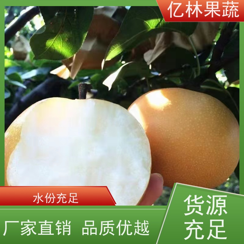 基地供应 桃树苗 嫁接技术指导 抗寒能力强 根系饱满成活率高