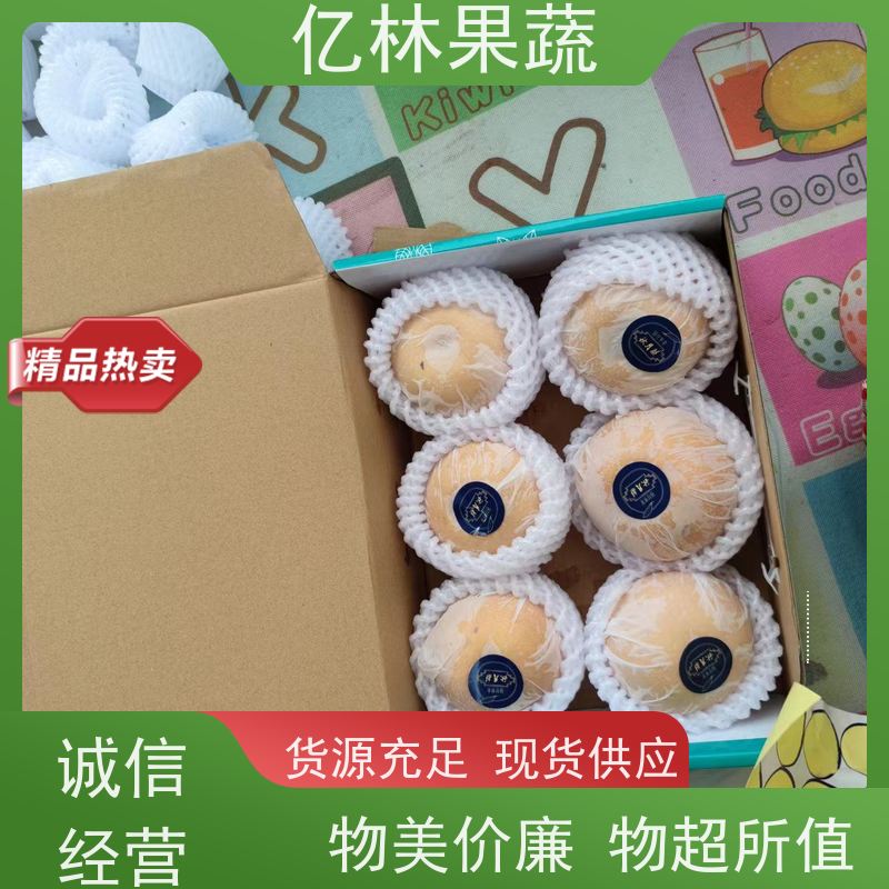 基地培育 秋彤桃 果树苗批发 当年结果 根系饱满成活率高