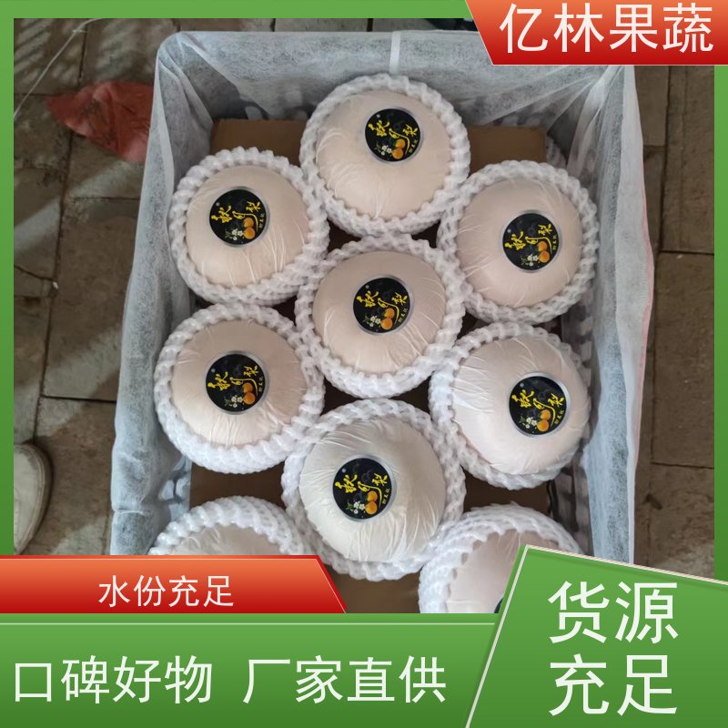 亿林苗木 油桃苗 新品种挑苗 香甜可口 基地直发