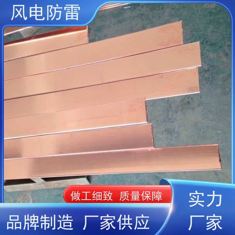风电防雷 性能稳定 使用安全 特殊非 金 属材料 铜包钢接地扁钢50*5mm