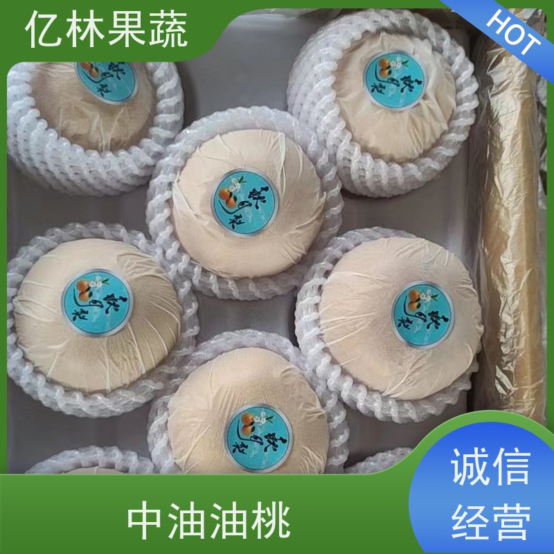 亿林苗木 果实饱满味道好 山农酥梨树苗 嫁接技术指导 抗寒能力强