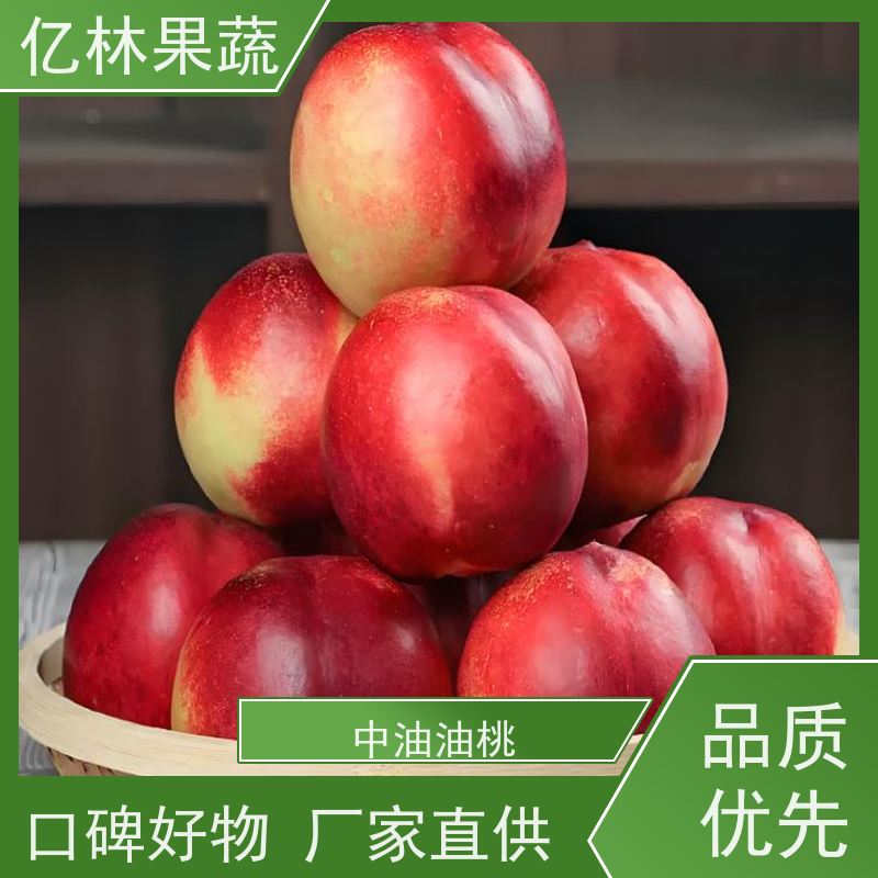 48油桃 中油5号 新鲜水果桃子批发 口感甜脆 清香可口 果园直发