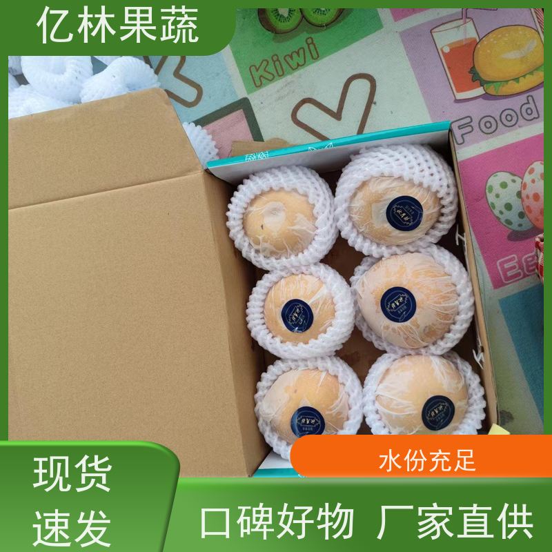 基地供应 园林嫁接桃苗 新品种挑苗 香甜可口 果实饱满味道好