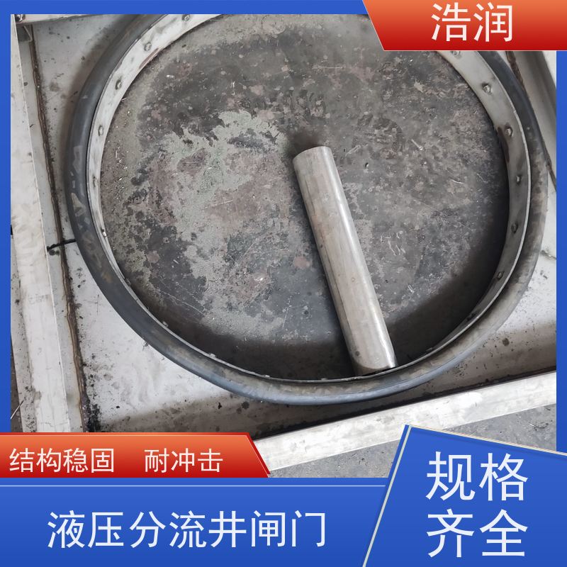 浩润 一体化液动下开式闸门 附壁安装 品质可信
