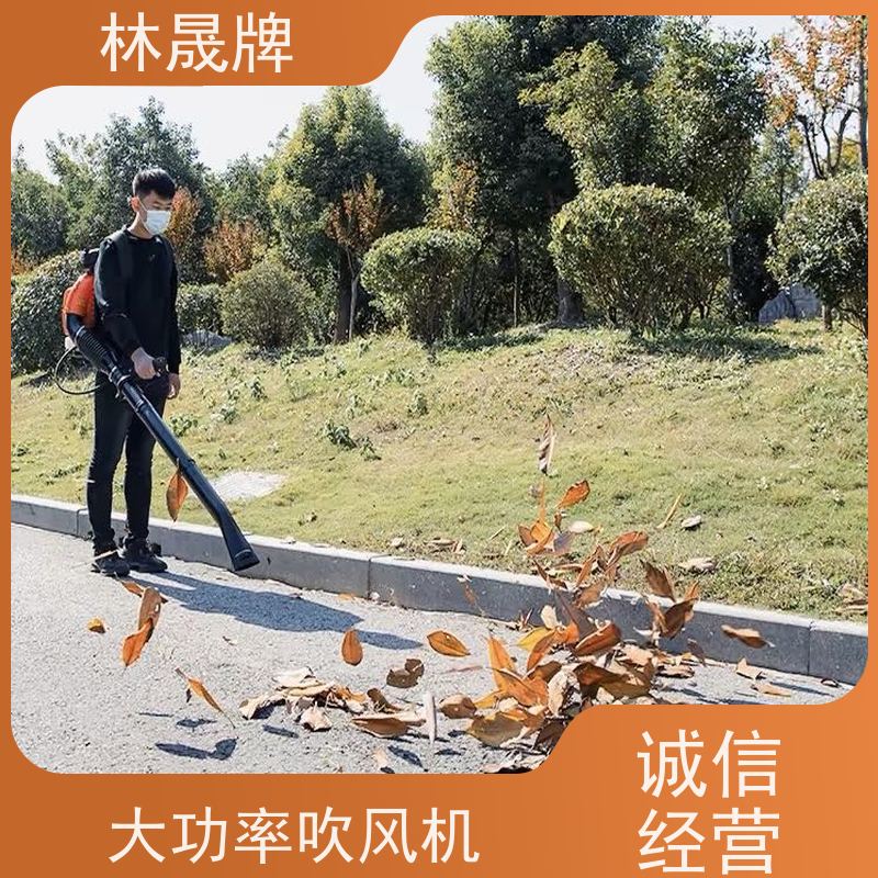 林晟牌 大功率背式吹尘除雪机 风机 风量大 性能稳定 接受定制