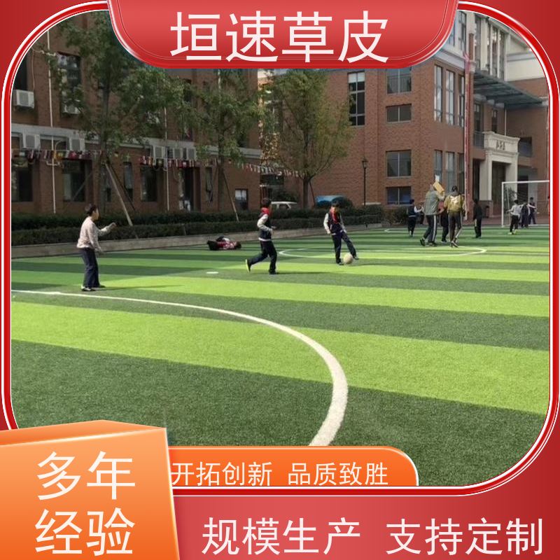 垣速 小区建足球场支持定制 加密人造草坪造价 嘉兴制作一片棒球场