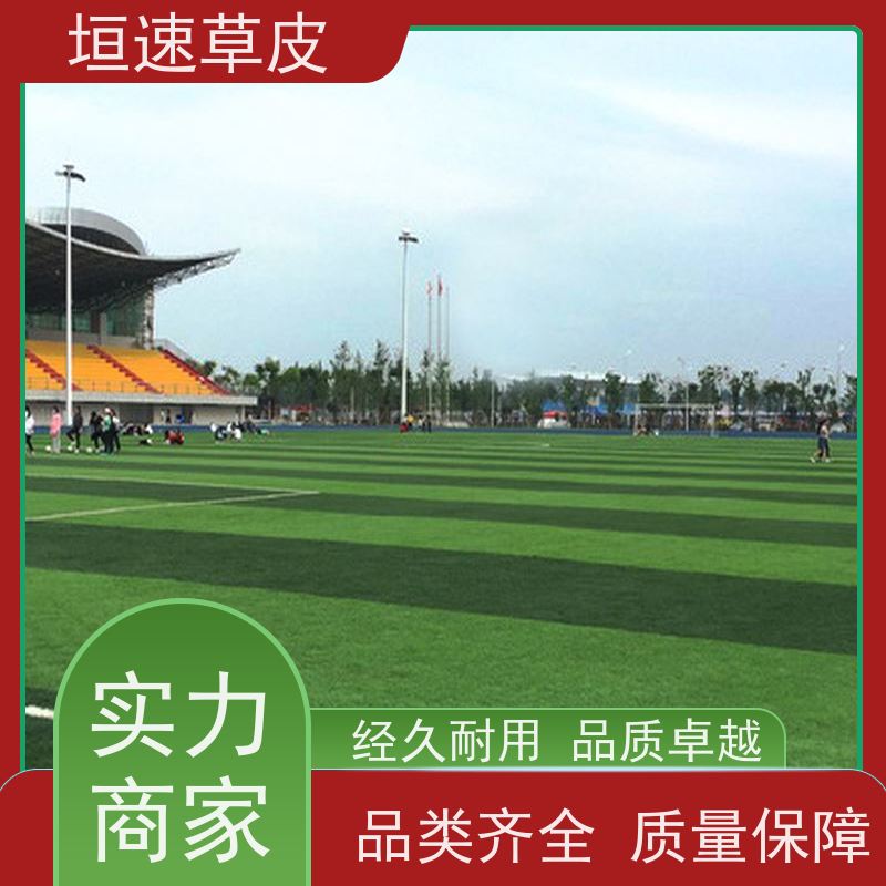 垣速 小区建足球场支持定制 篮球场草坪施工队 江苏建造棒球场