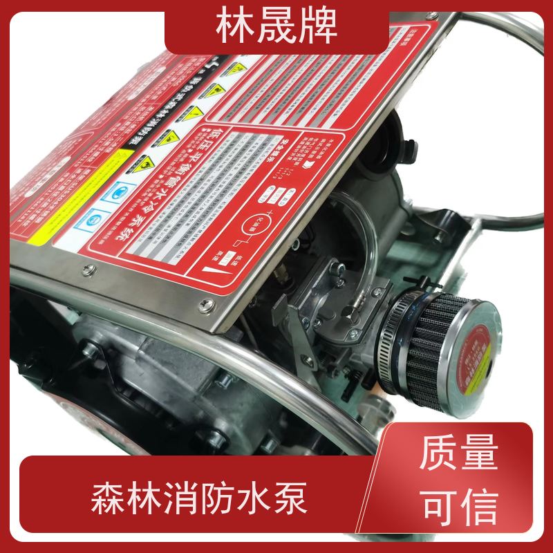 林晟牌 便携式水泵 消防泵 LS-396G 背负式 支持定制