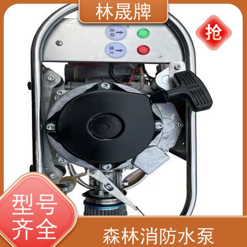 林晟牌 便携式水泵 手抬机动泵 流量6.9L/min 可按需定制