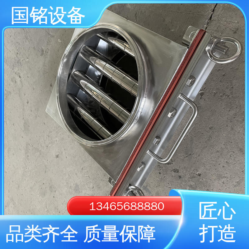 医药 除铁器型号 法兰可定制 除磁率高 国铭设备