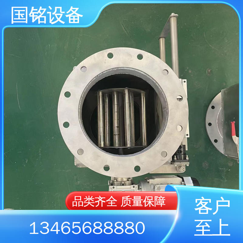 国铭设备 细颗粒 法兰可定制 自动永磁除铁器 易于安装