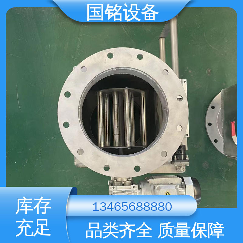 国铭设备 医药 易于安装 法兰可定制 永磁除铁器何地卖