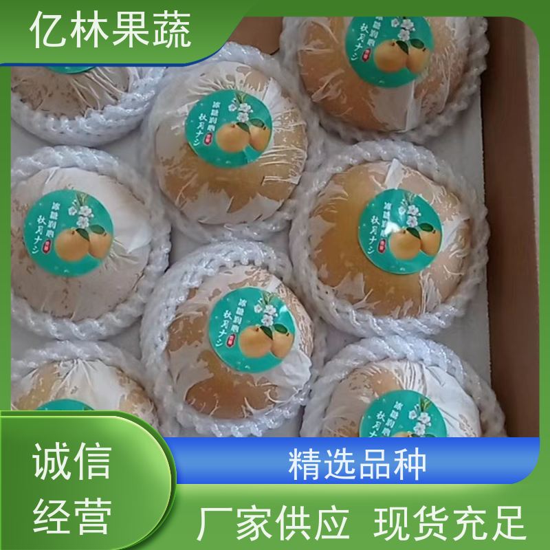 基地培育 晚熟桃树苗 三公分现挖现发 品种齐全 根系饱满成活率高