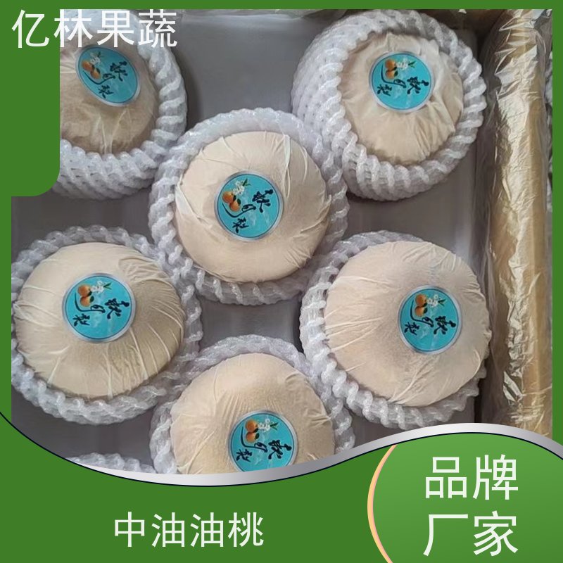 亿林苗木 园林嫁接桃苗 特产果树桃幼苗 果实饱满味道好