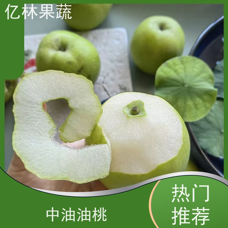 基地供应 成活率高 晚熟品种梨 口感脆甜 红巴梨树苗